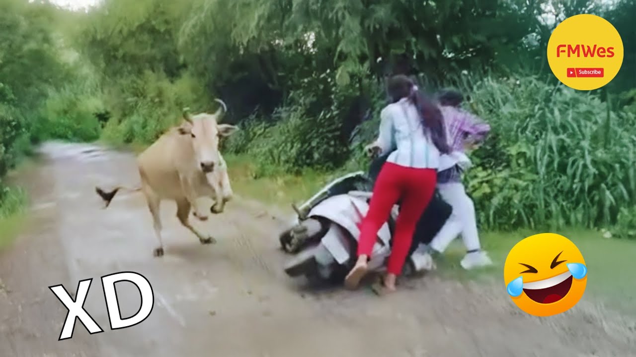 SI TE RÍES PIERDES NIVEL DIOS #569 🤣 ¡TOTALES IDIOTAS EN EL TRABAJO 😆 VIDEOS DE RISA 2025 😂