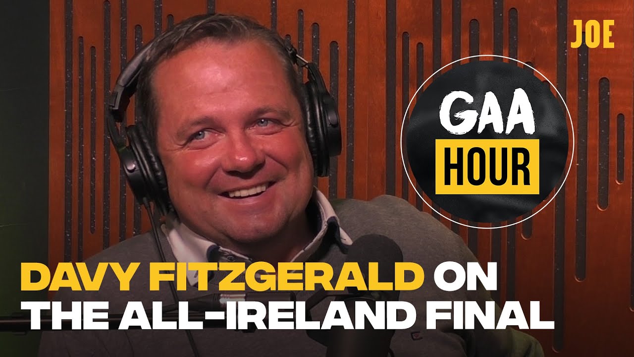 Hurling legend Davy Fitzgerald reviews Limerick's historic All-Ireland hurling final win