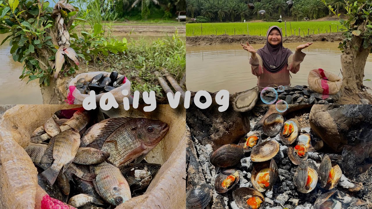 𐙚daily vlog | mencari kerang dan ikan disawah🫧🦪🐡˚.🎀༘⋆ #dailyvlog #sawah #kerang 
