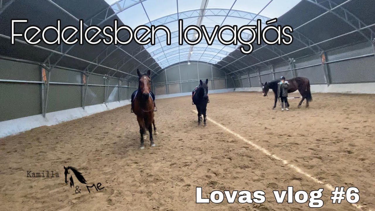 Újabb bolond video 🤪 avagy Lovas Vlog #6 | Kamilla And Me