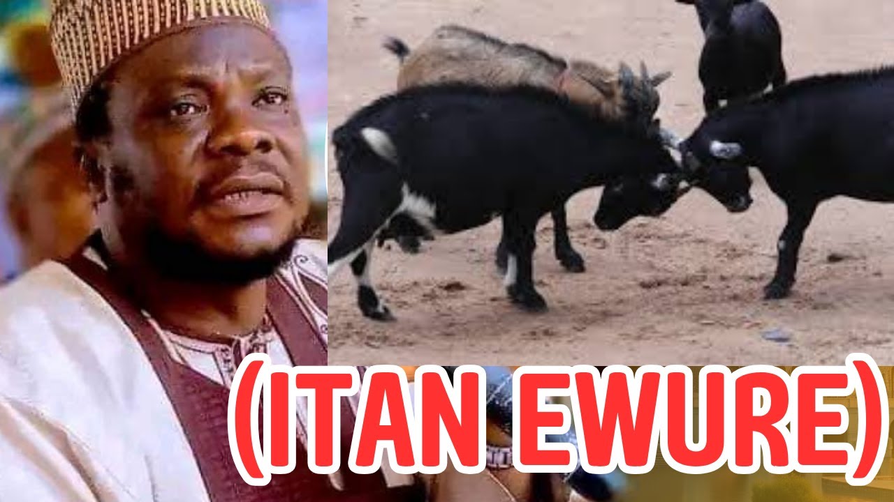 Alfa Aboto Lectures (Sheikh Abdul Ganiy Aboto)