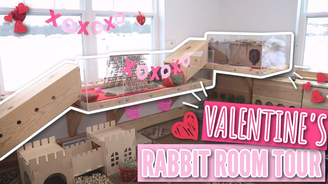 VALENTINE'S RABBIT ROOM TOUR
