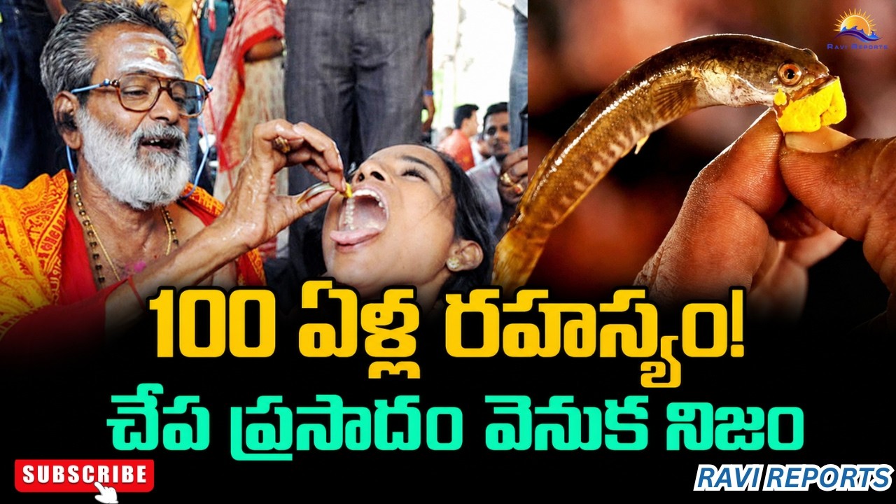100 ఏళ్ల రహస్యం! చేప ప్రసాదం వెనుక నిజం || RAVI REPORTS ||