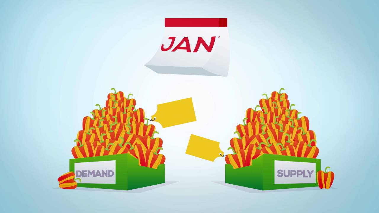Explanimation: Harvest House