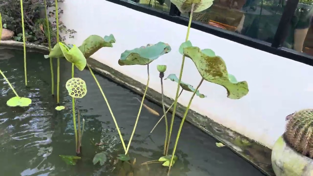 2 มีนาคม 2569