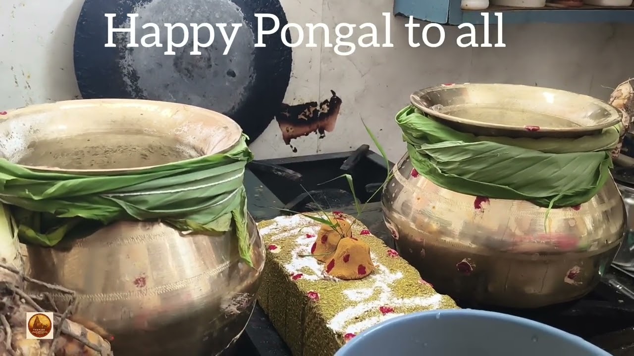 Happy Pongal to all | wishes from thanjai paarampariya samayal 