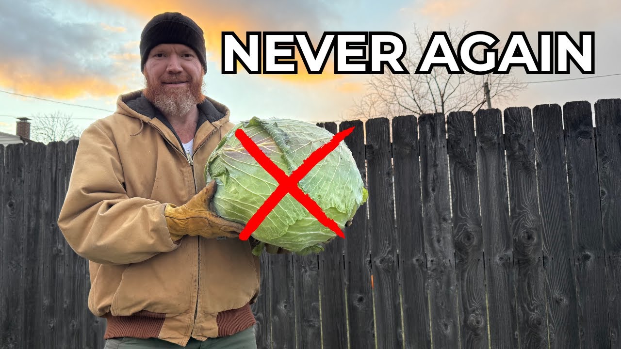 5 Things I'd NEVER Do Again in My Garden After 2025
