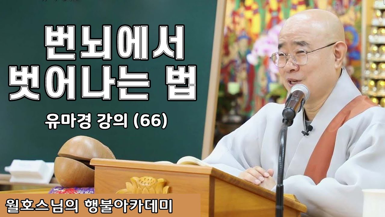번뇌에서 벗어나는 법  |월호스님의 행불아카데미 180회I
