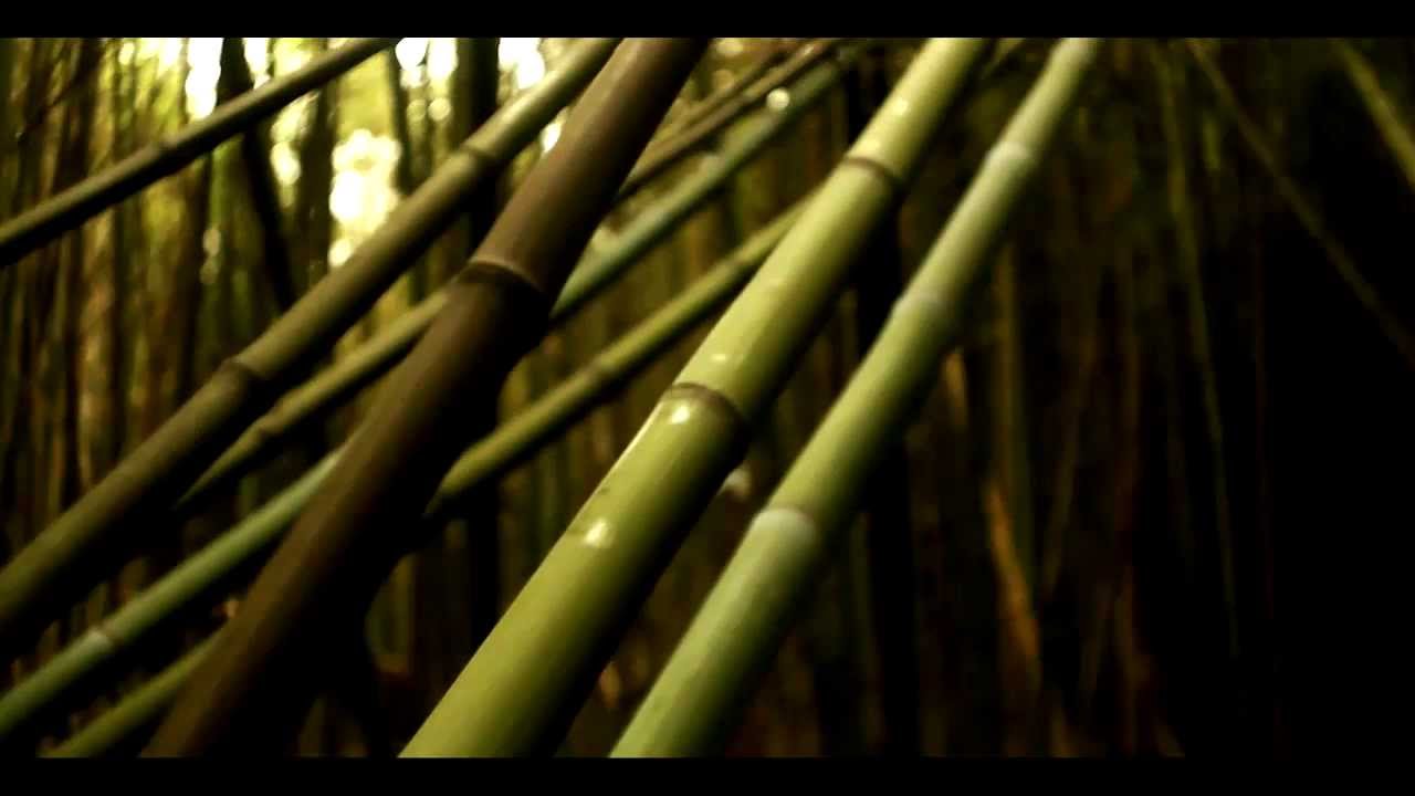 CA&Ntilde;EROS - cap&iacute;tulo 5 - OLVIDADOS DEL RIO - Cooperativa PANORAMA / Sub Ingles - Italiano