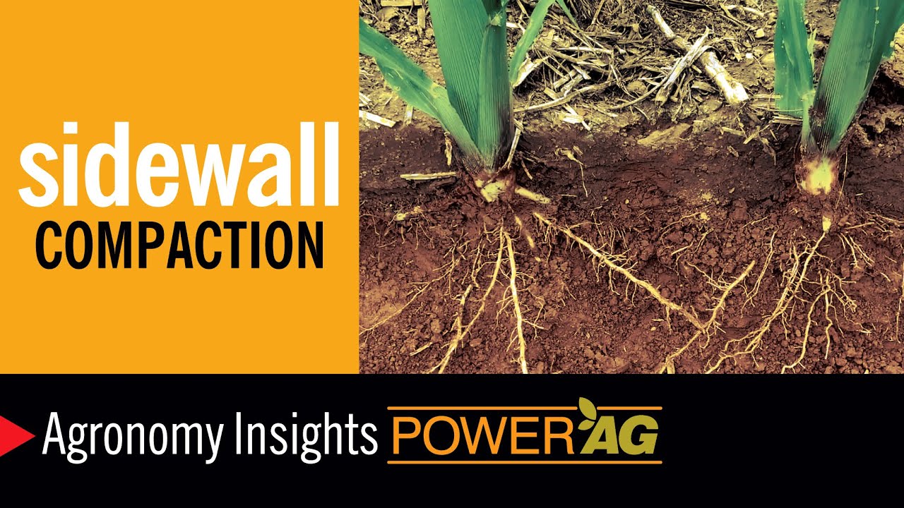 Soil Compaction—Reasons and Remedies