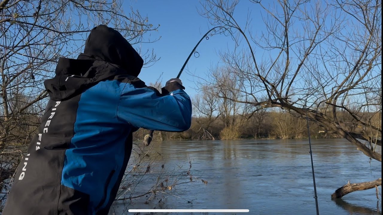 Dubinsko pecanje na glistu. Mutna voda i ulov za ulovom!!