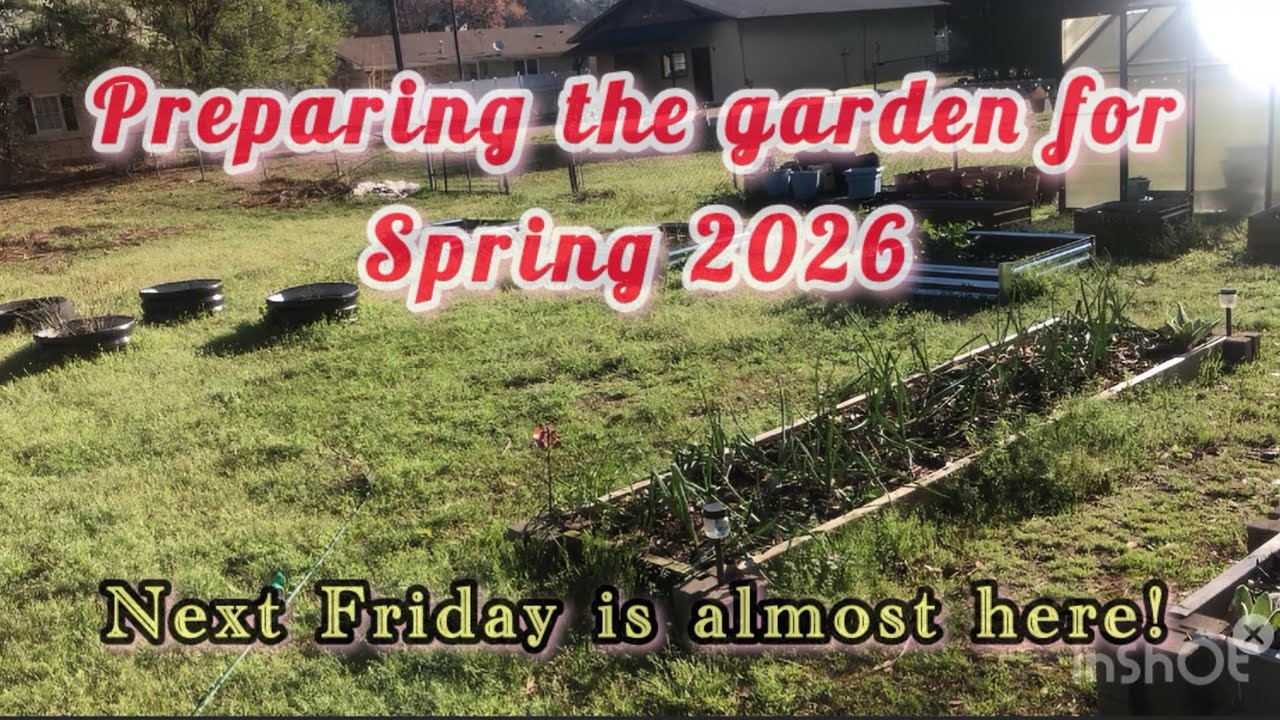 Busy Gardening! A Walk Through the Garden | Spring Garden PREP| End of Winter is near!