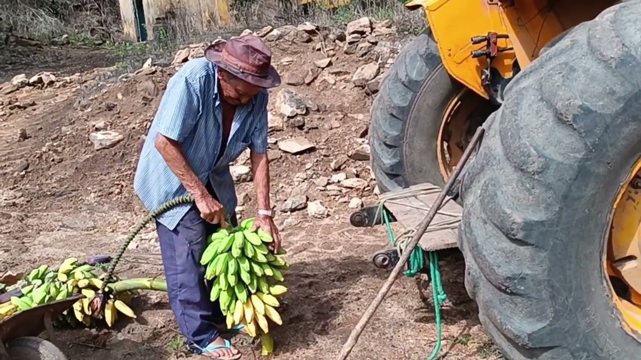 Trazendo material para ajeitar a casa de farinha