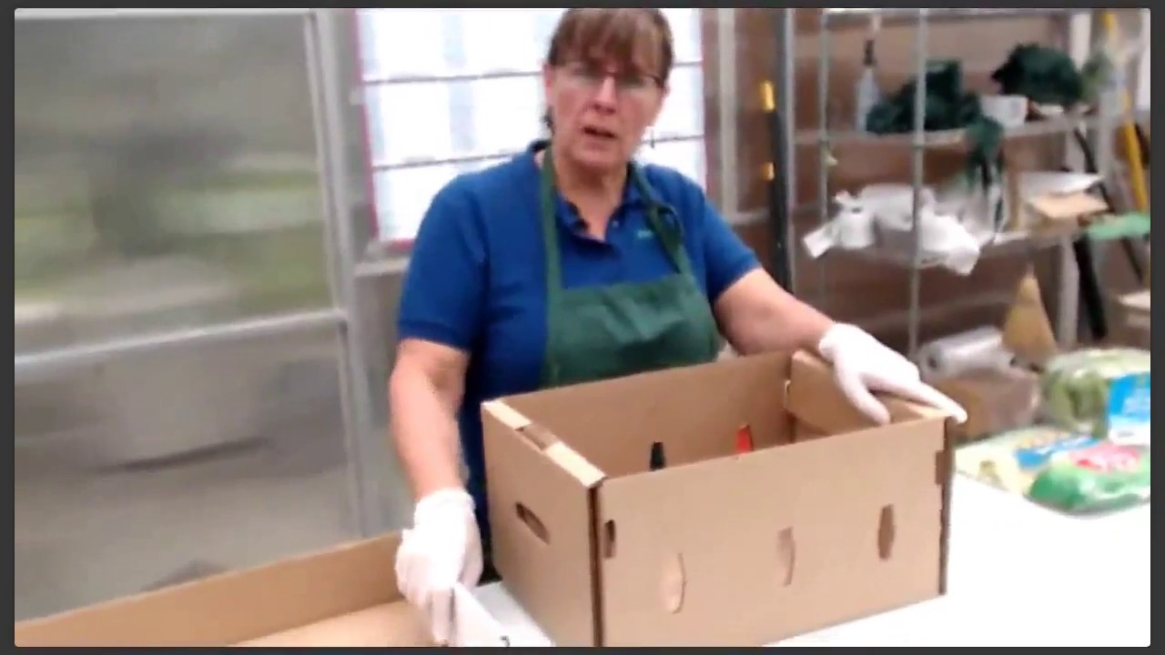 Hydroponic Harvesting & Packaging | AmHydro