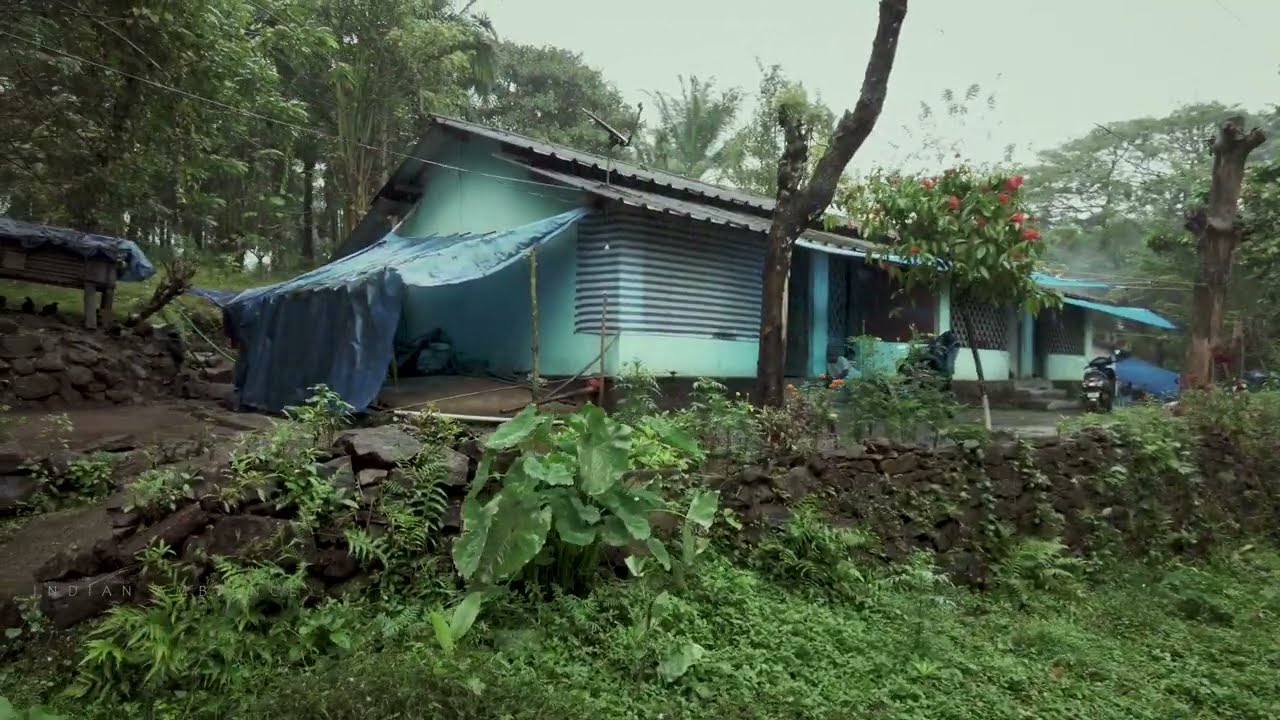 Walk in Gentle Rain through Village road in South India | ASMR sounds of rain falling in umbrella