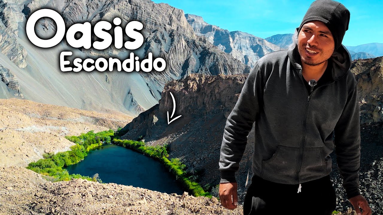 Encontramos VIDA en un DESIERTO de LAVA VOLCÁNICA  | Arequipa 🇵🇪