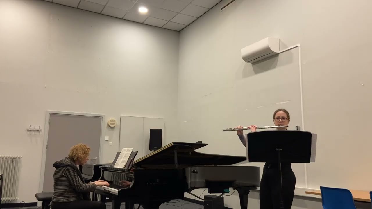 W. A. Mozart - Flute Concerto no. 1 in G major K.313, I mov.