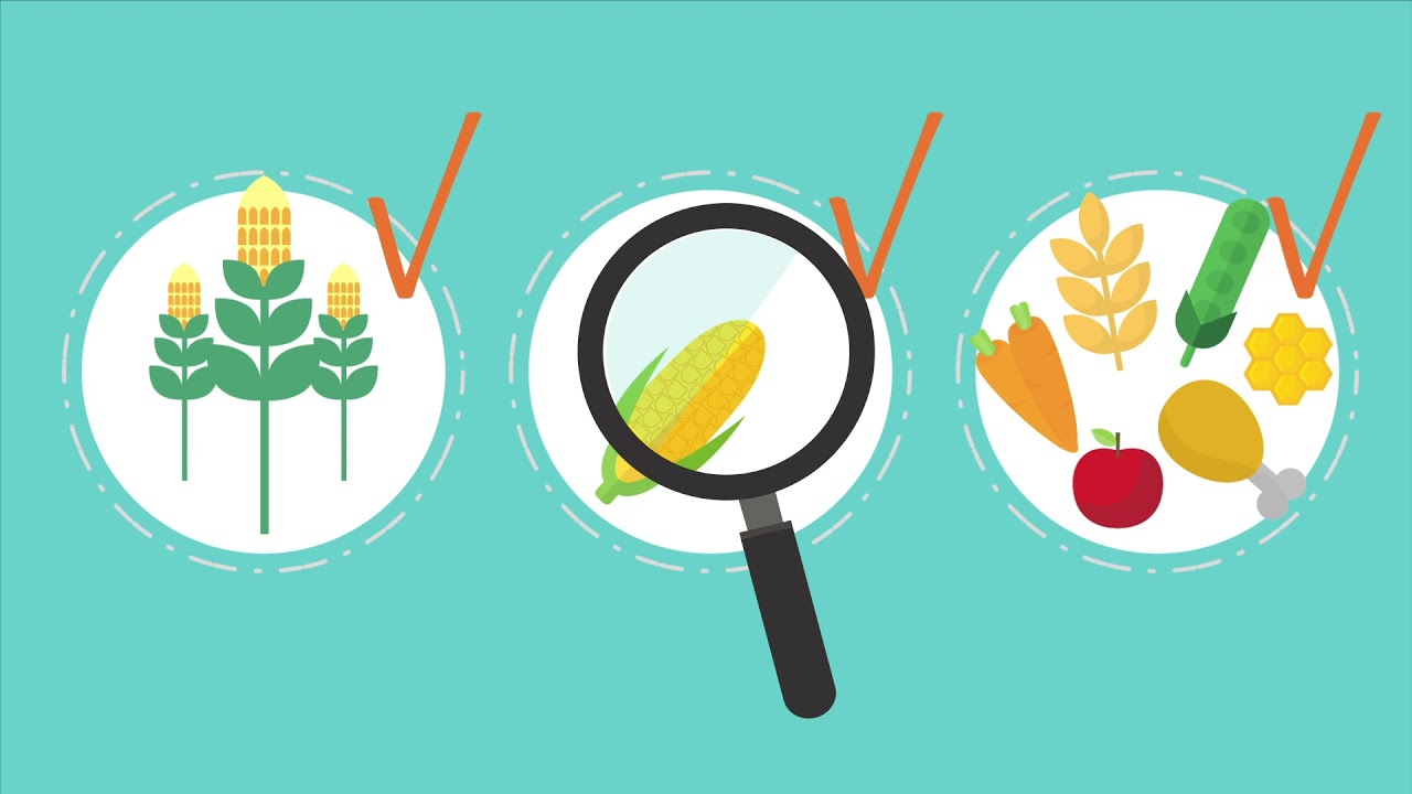 2. Agroecolog&iacute;a