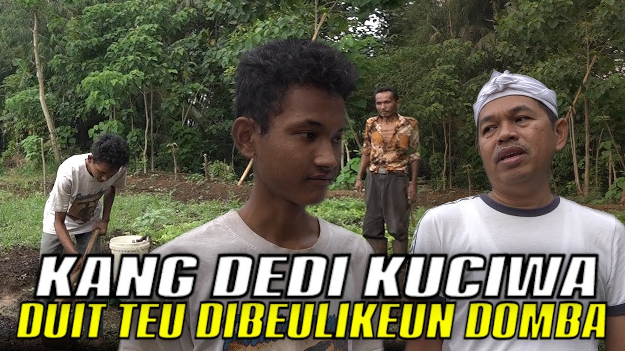 KANG DEDI KECEWA PADA ARIS PENJUAL TIMUN-UANG UNTUK BELI DOMBA TAK DIBELIKAN