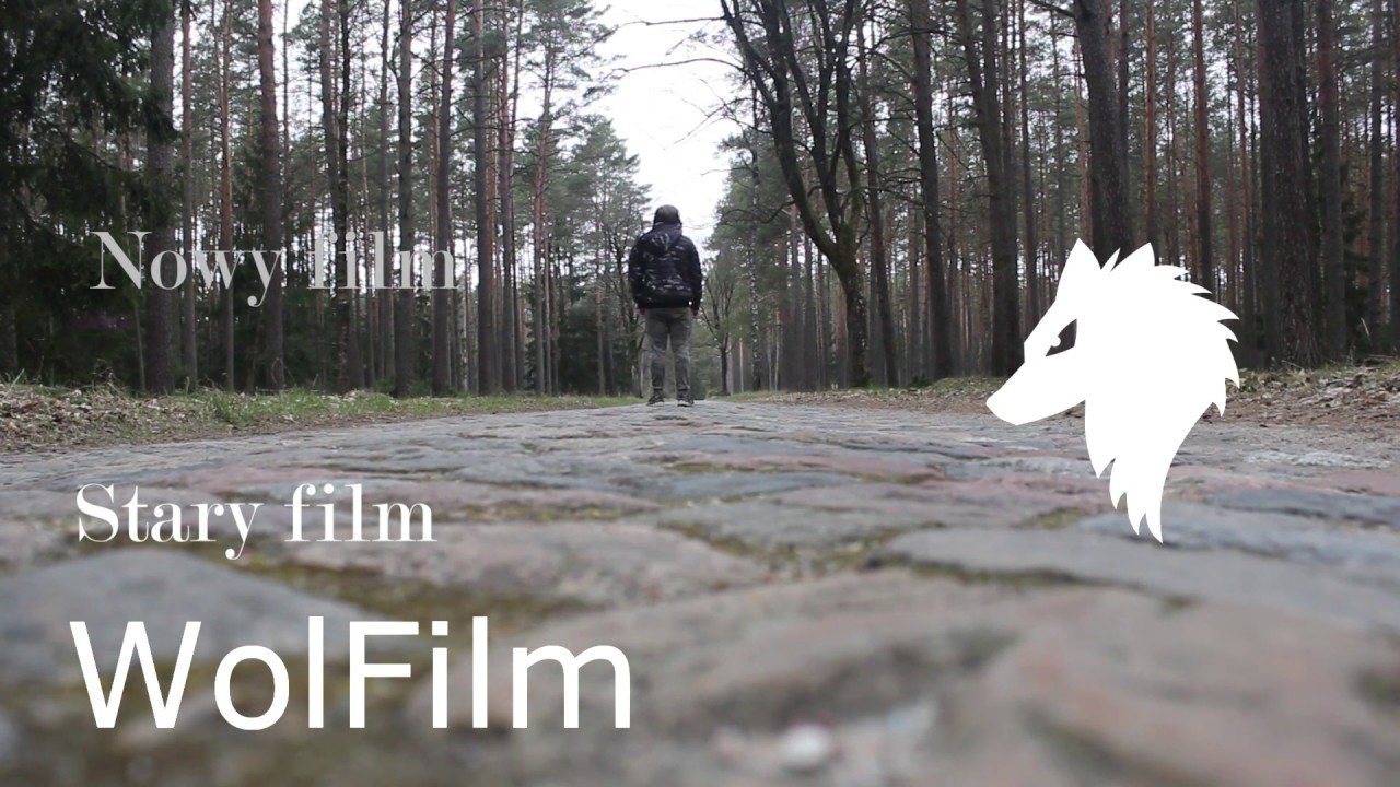 B Roll z Lasu #WolFilm