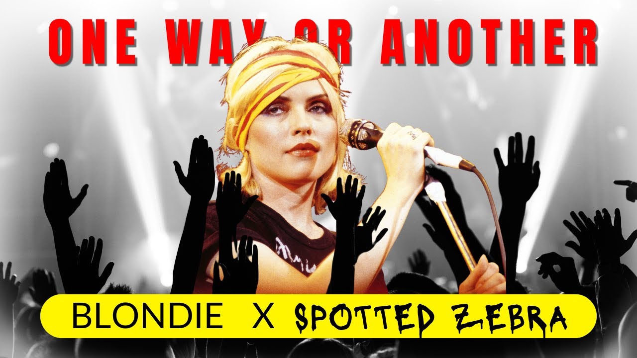 Spotted Zebra Plays One Way Or Another by Blondie