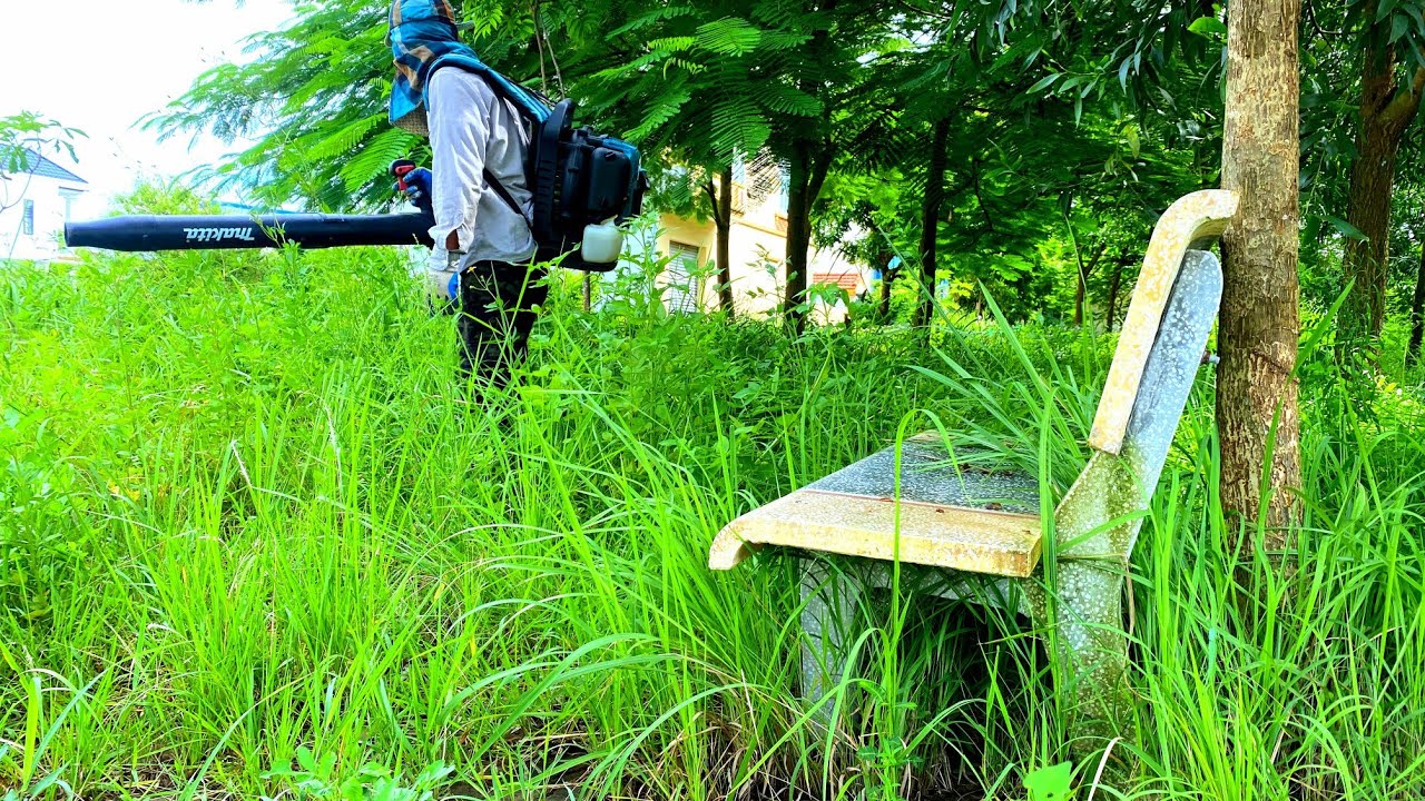 NOBODY cut OVERGROWN grass in amazing TRANSFORMATION apartment park | SATISFIED GENTLEMAN