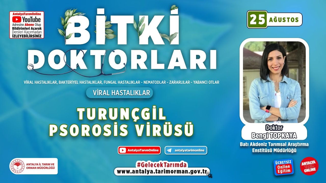 Bitki Doktorları 77 - Turunçgil Psorosis ( Kavlama ) Virüsü ve Mücadelesi