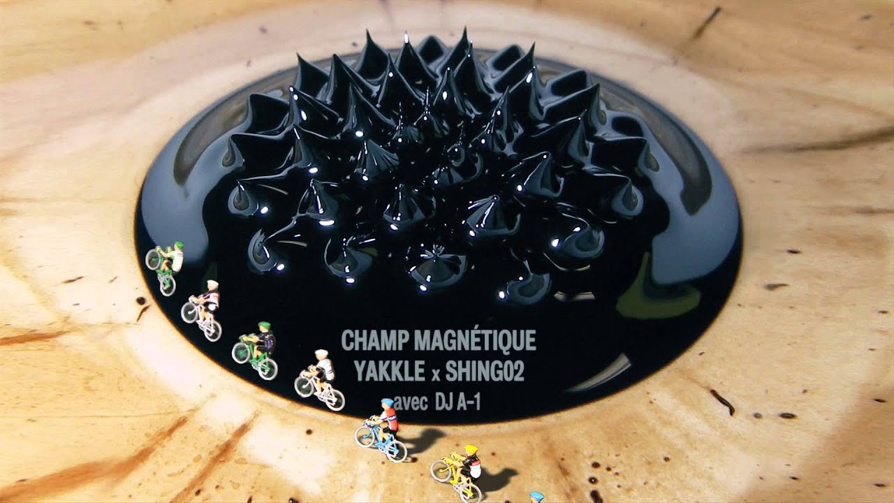 Champ Magnétique - Yakkle x Shing02 avec DJ A-1