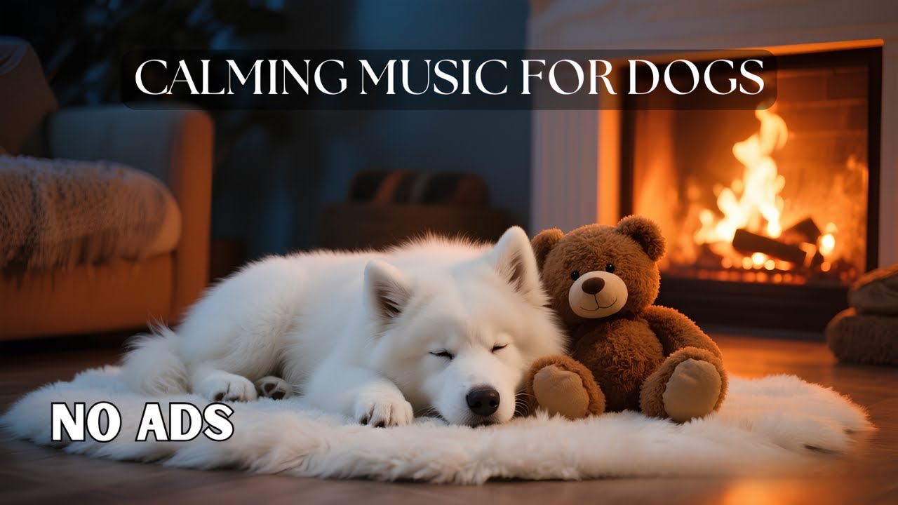12 Hours Anti Anxiety Music for Dogs 🐶 Audiobook‑Style Narration for Comforting Calm