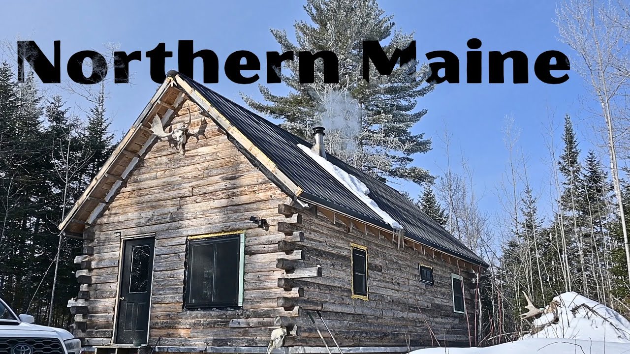 Жизнь вдали от цивилизации — уход за животными и как мы добываем воду.