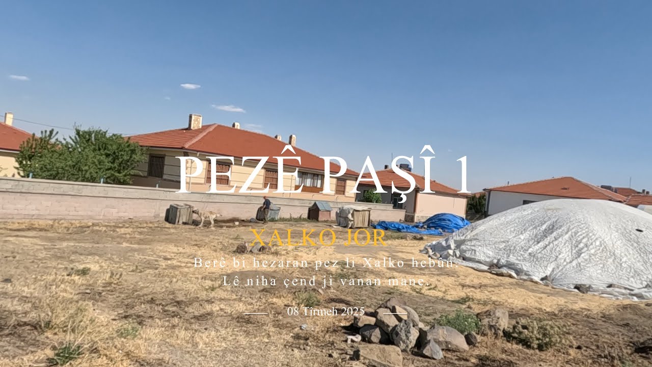Pezê Paşî 1, Zekîyê Hasarê  - Xalko Jor [Karacadağ Kulu Konya], 08.07.2025