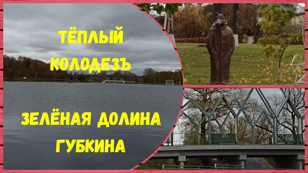 Как из заросшего ручья сделать Шикарную зону отдыха «Тёплый Колодезь – зелёная долина Губкина»