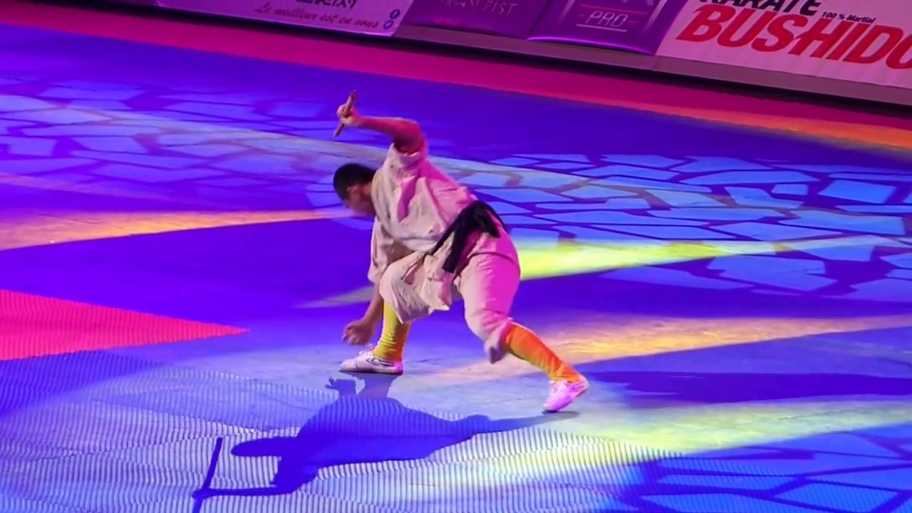 Festival des Arts Martiaux 2017 : Arts Martiaux Chinois