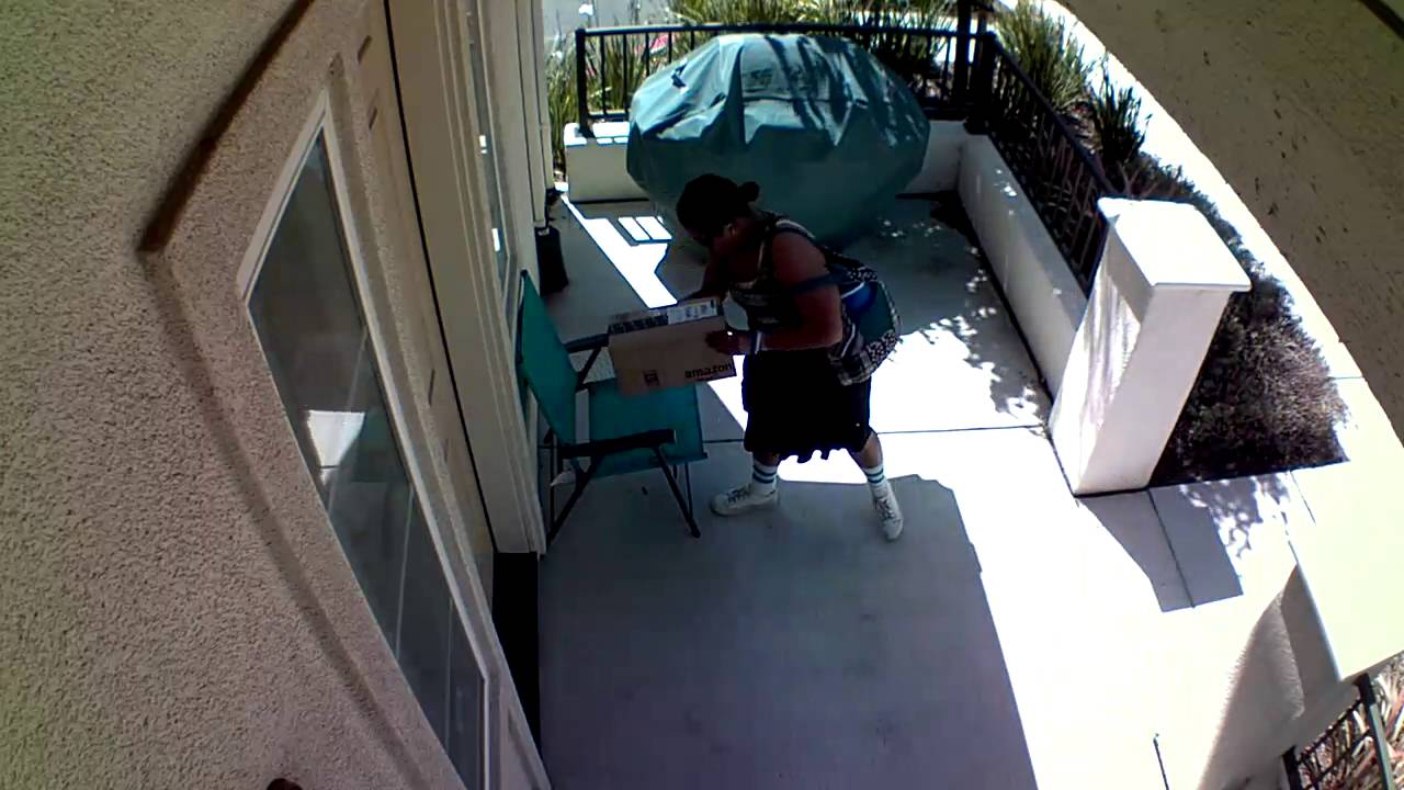 Blink Home Security Camera Catches Package Thief 2