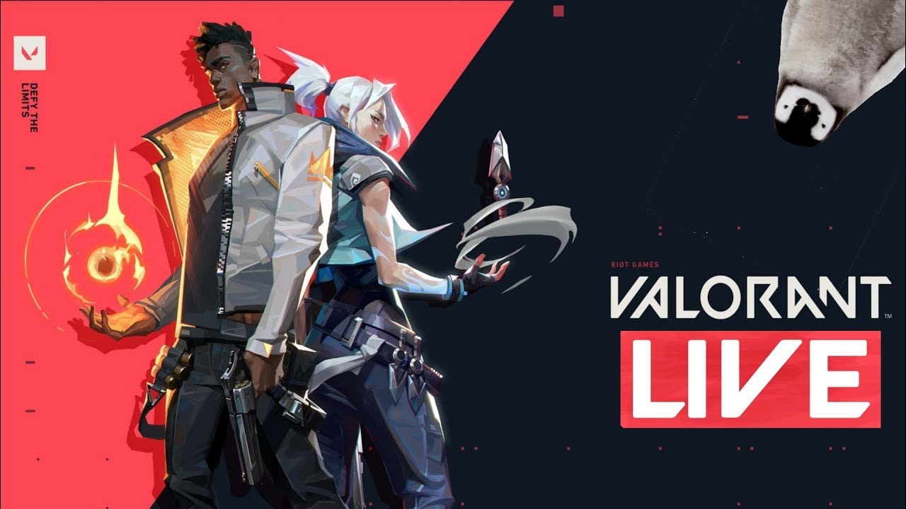 🔴VALORANT weekend  STREAM|||||THANK U FOR 100 SUBS||