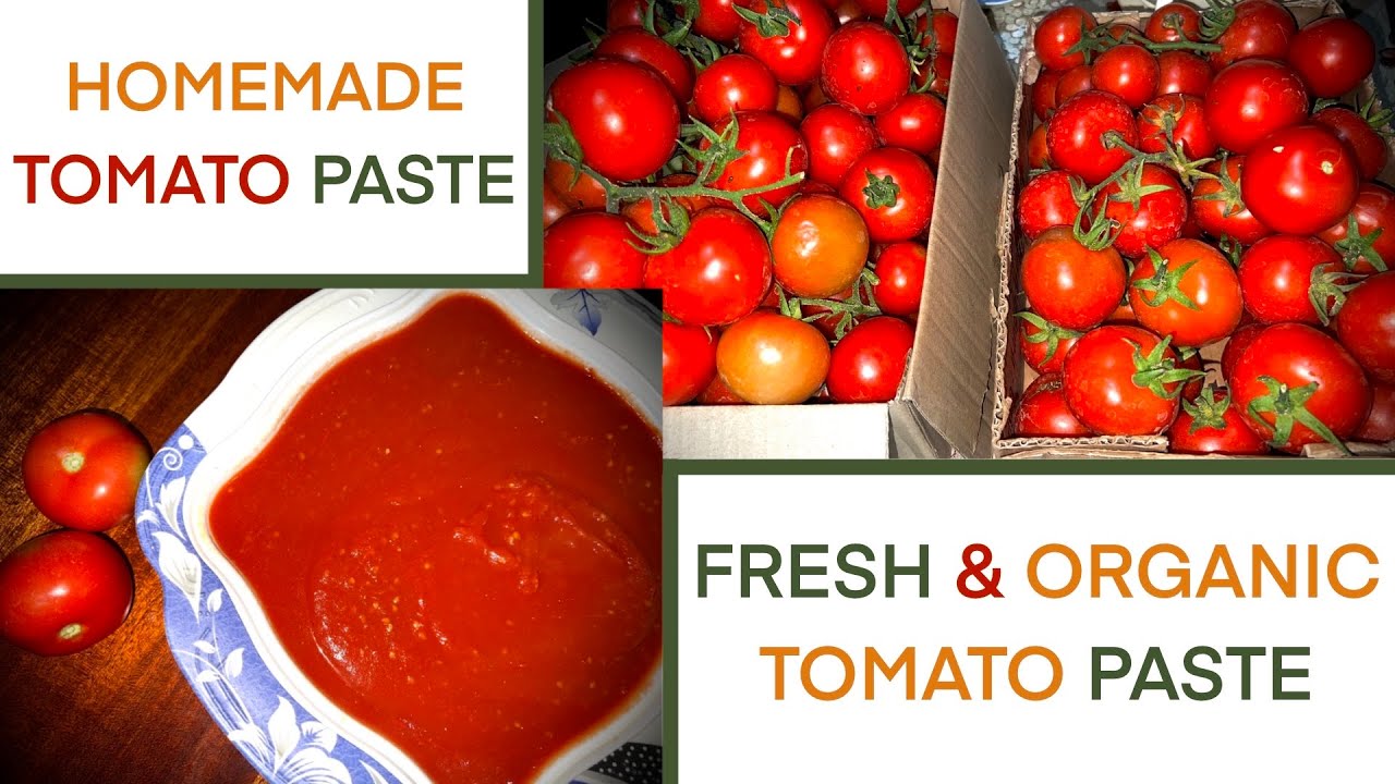 HOW TO MAKE HOMEMADE ORGANIC TOMATO PASTE | FRESH & ORGANIC TOMATO PASTE | EASY TOMATO PASTE RECIPE