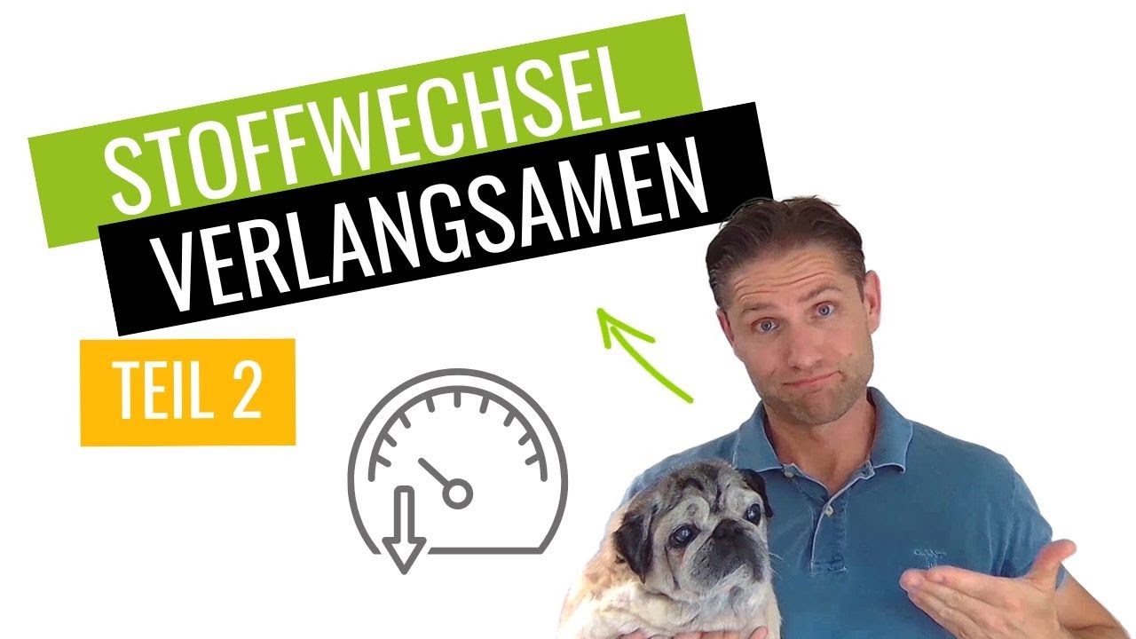Stoffwechsel Verlangsamen | Teil 2