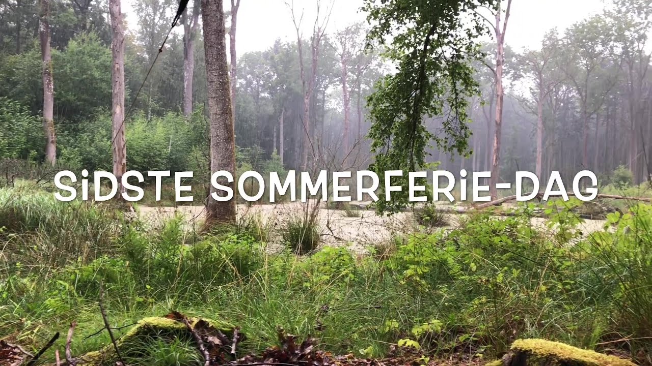 Sidste sommerferie-dag 2020. Vandretur med Frk. Tønnes. Esbit og Bushcraft Essentials Micro.