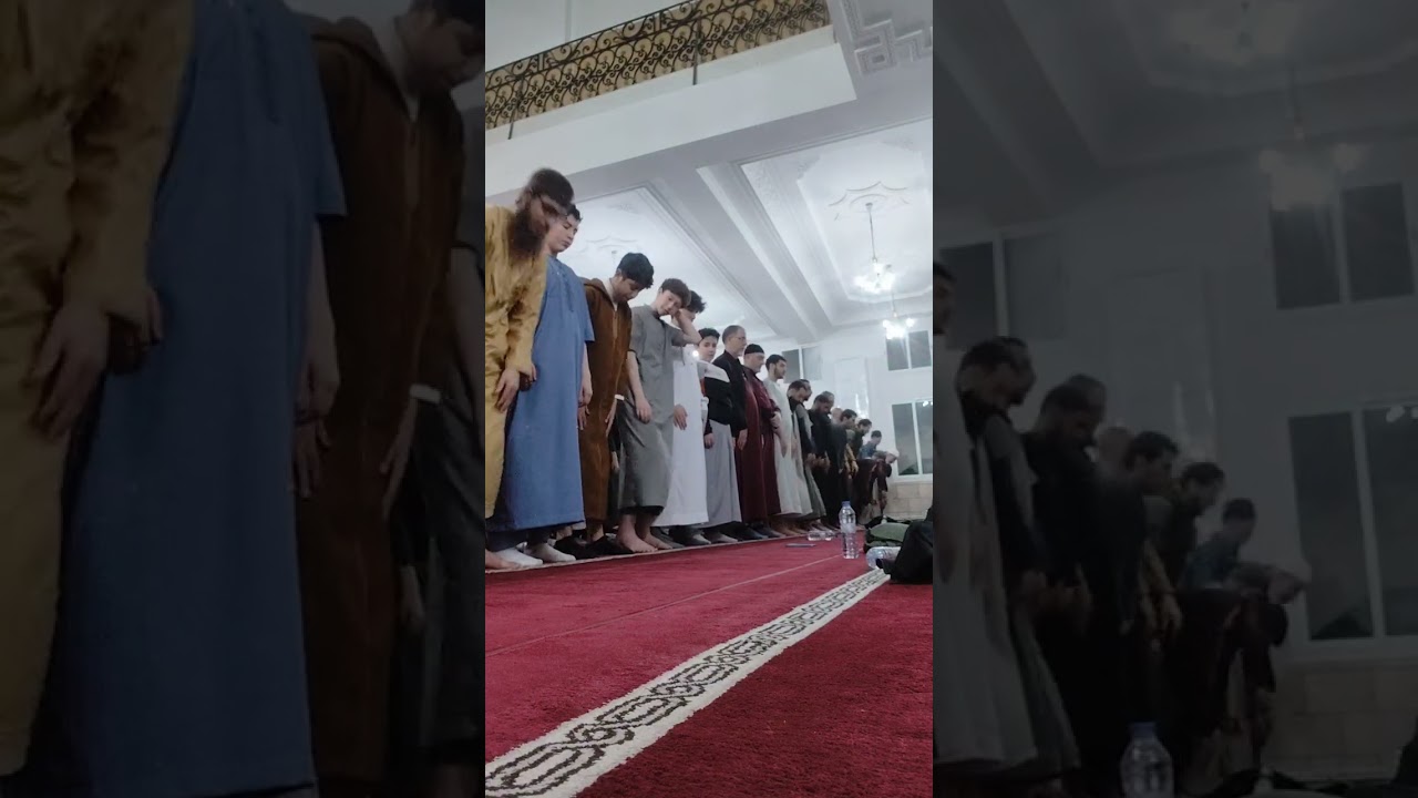 الليلة السادسة عشر من صلاة التراويح التسليمة الأولى مسجد الرحمة دالي ابراهيم بصوت فارس كربوب 
