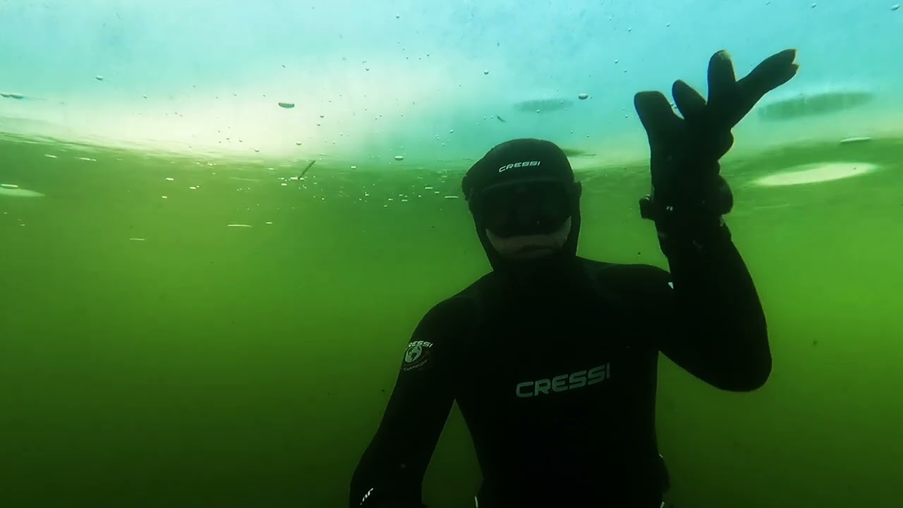 Ice Diving / Freediving 1