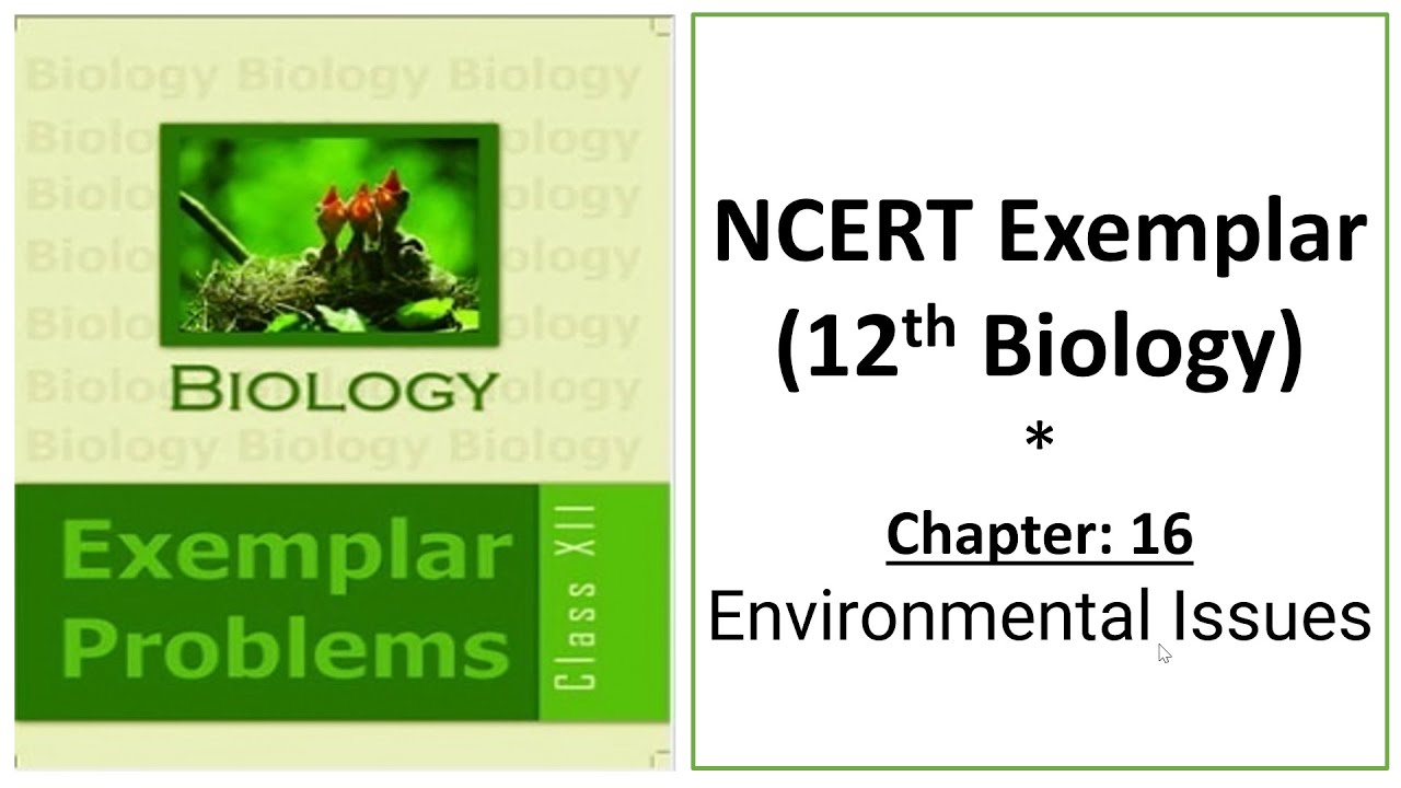 Environmental Issues || NCERT Exemplar 12th Biology || MCQ and Short Answer Question Analysis