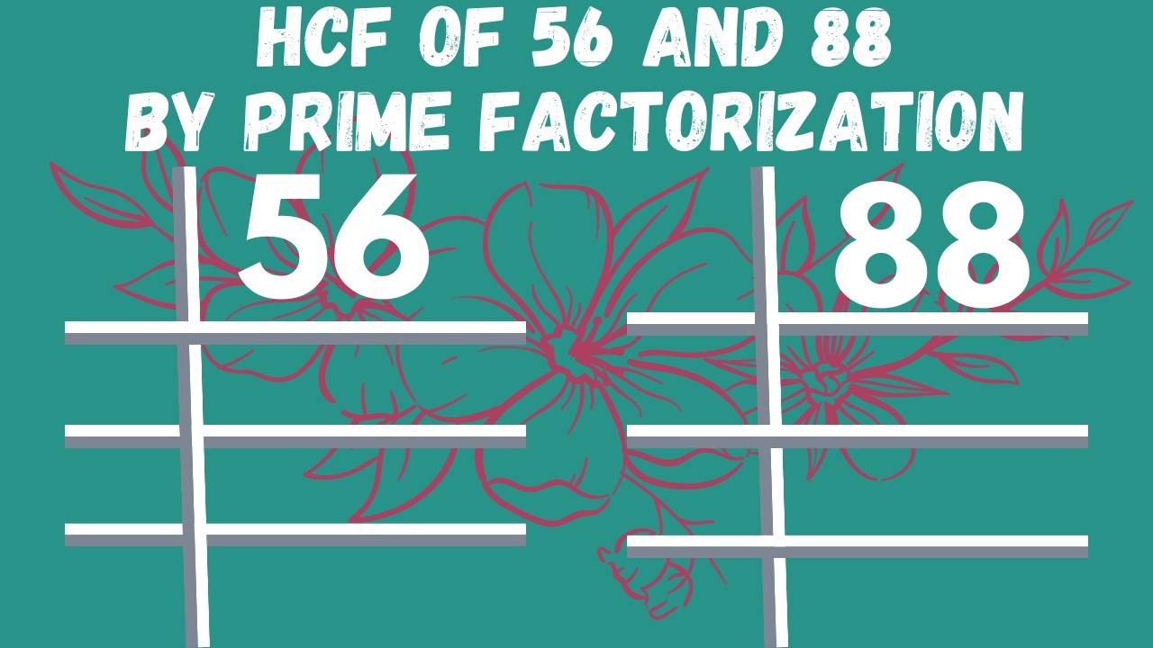 HCF of 56 and 88 by prime factorization | HCF of 56 88 | in Urdu/Hindi |