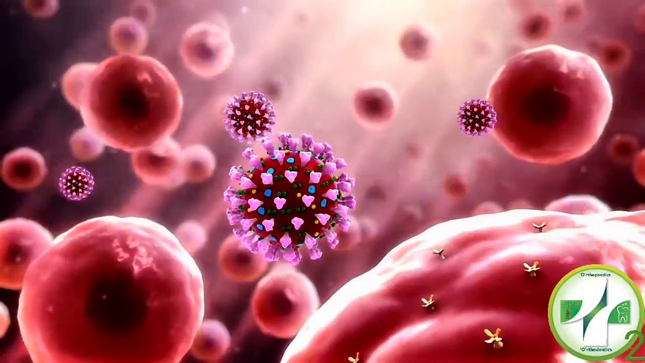 Mechanism of Action of Coronavirus (Sars-CoV-2)