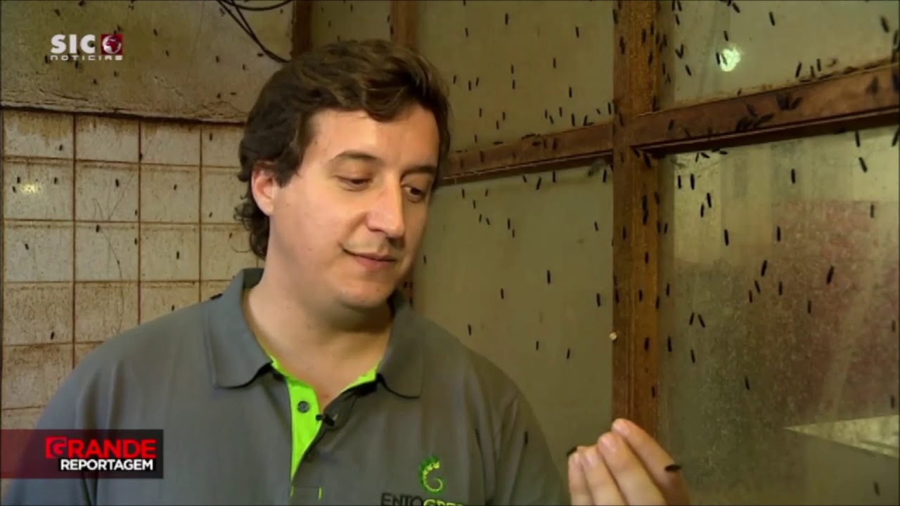 Excerto Grande Reportagem SIC - Feed Excerto Grande Entrevista SIC - Feed