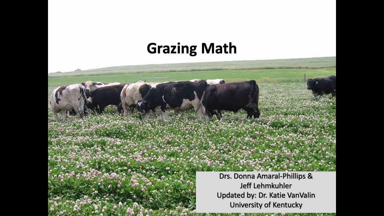 Grazing Math - Кэти ВанВалин
