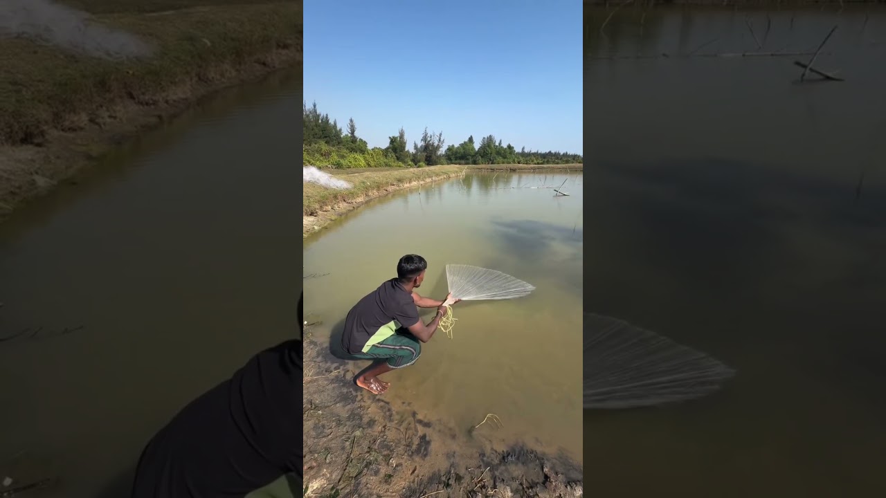 Caught a lot of fish from the village pond.#shortvideo