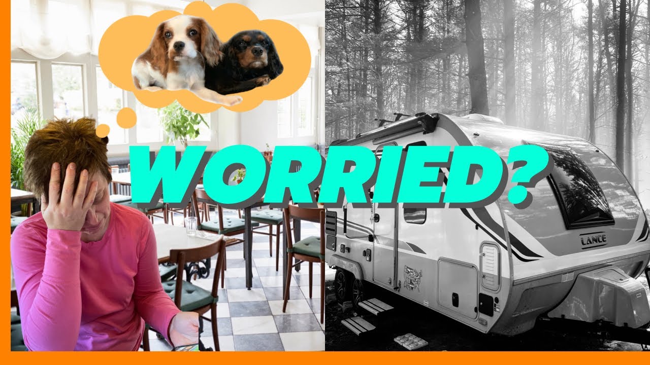 Are They Safe?  Leaving Pets ALONE in an RV || Waggle Pet Monitor