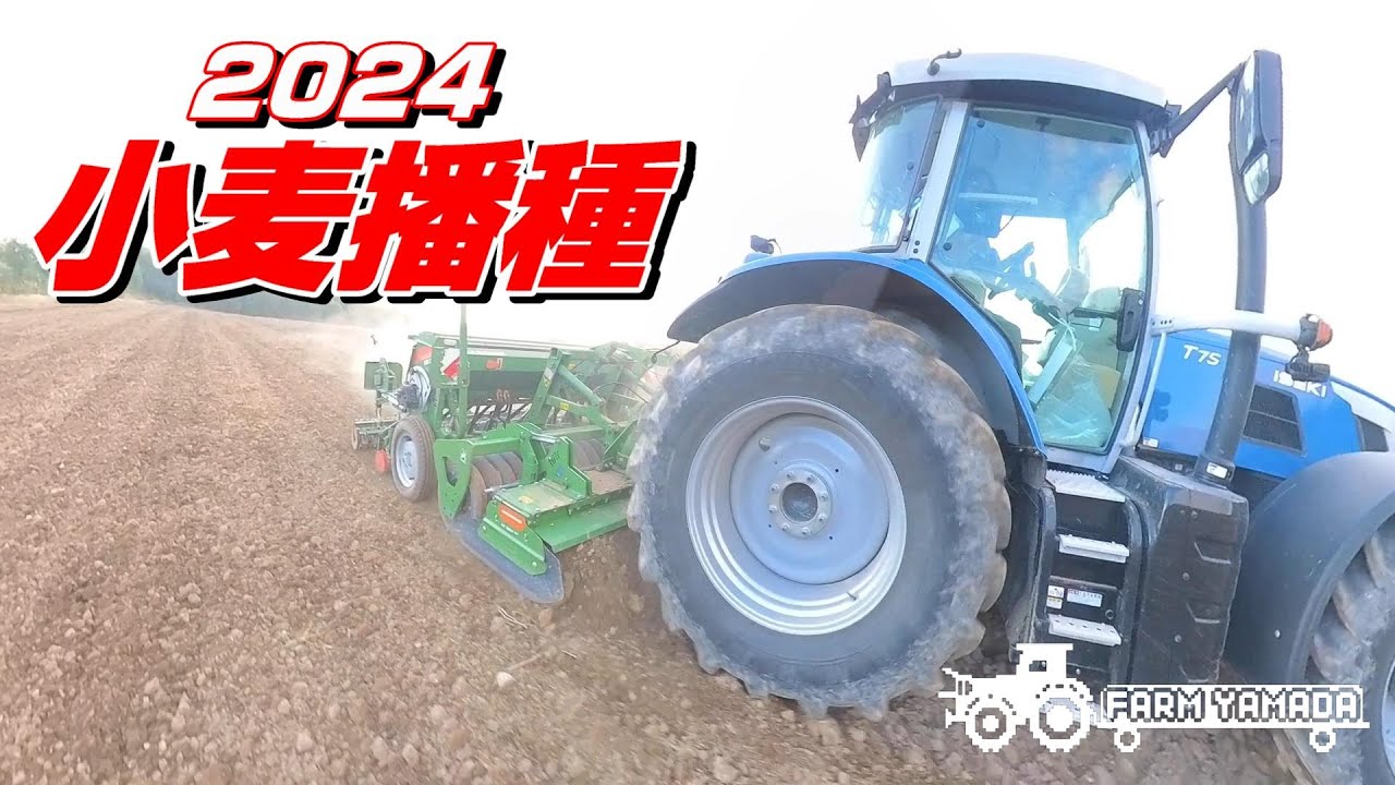 2024 小麦播種