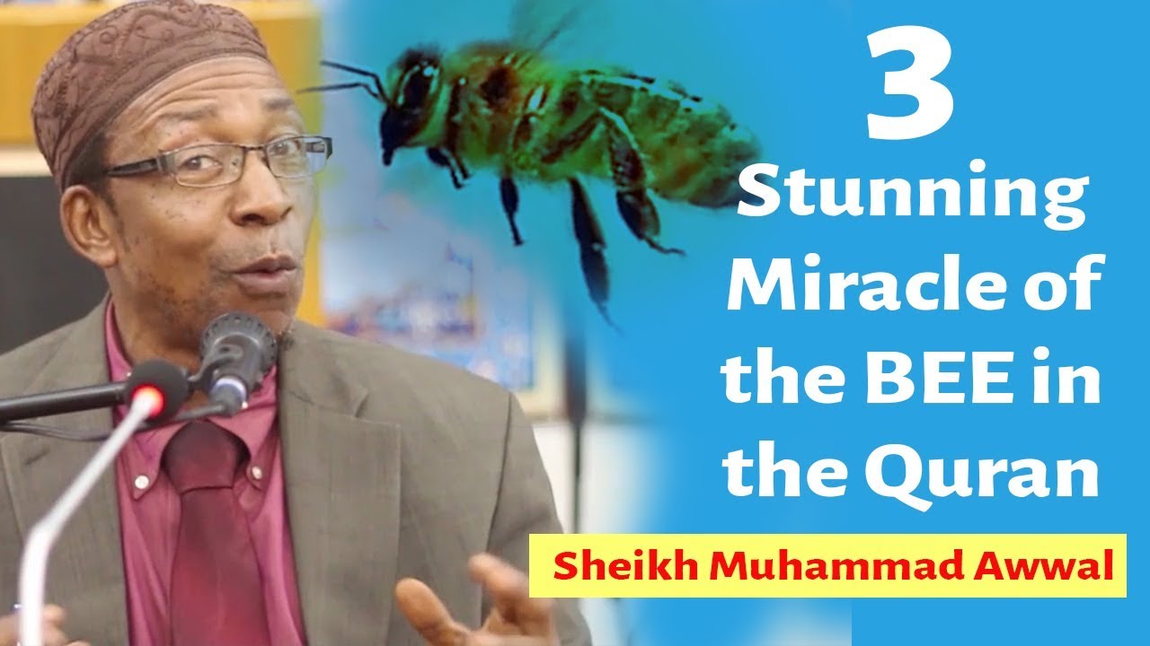 3 Stunning Miracles of the Bee in the Quran - Sheikh Muhammad Awwal