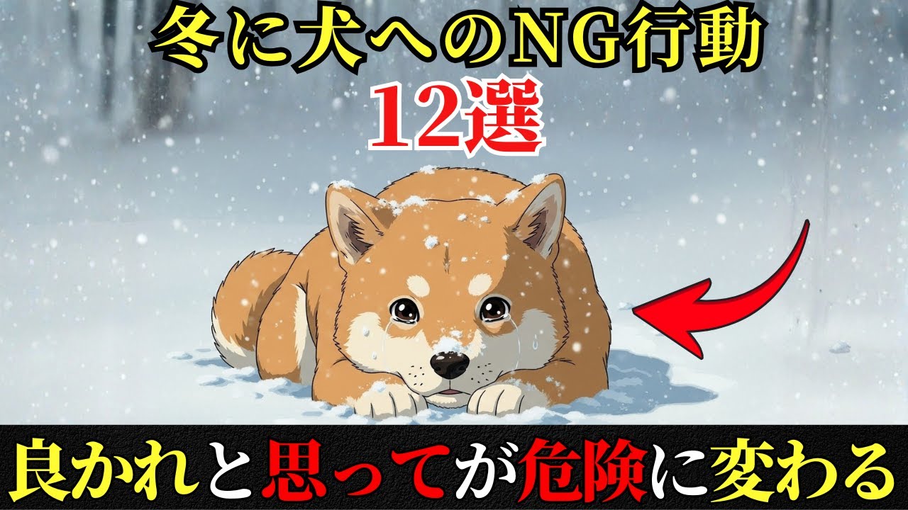 【要注意】冬にやってはいけない犬への行動12選｜良かれと思ってが危険に変わる